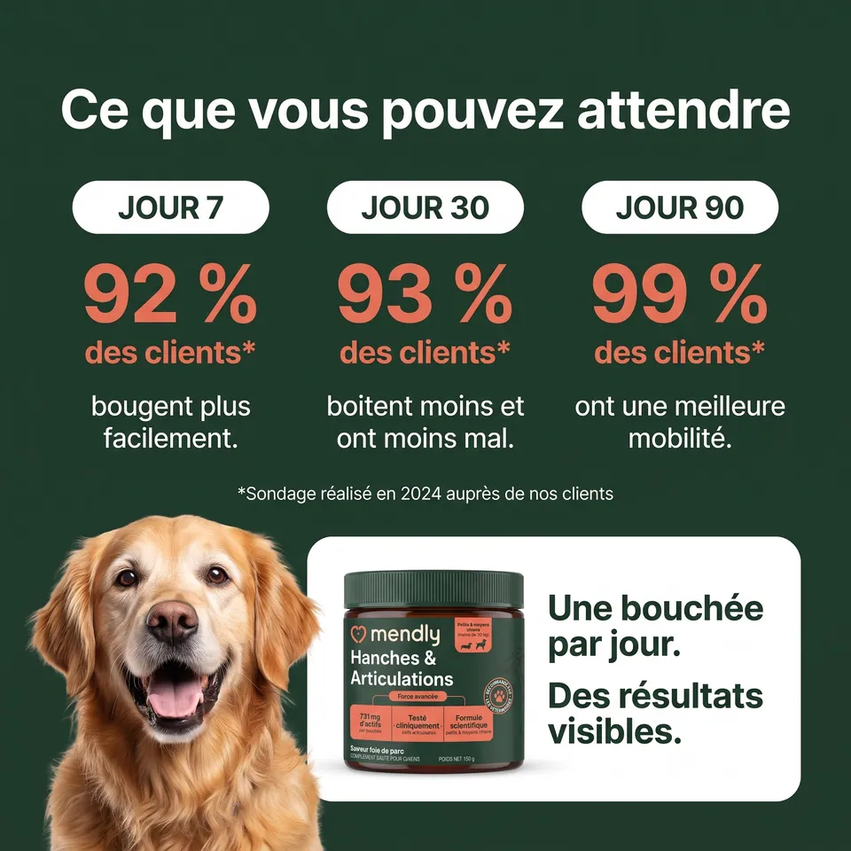 Ce que vous pouvez attendre : jour 7, jour 30, jour 90