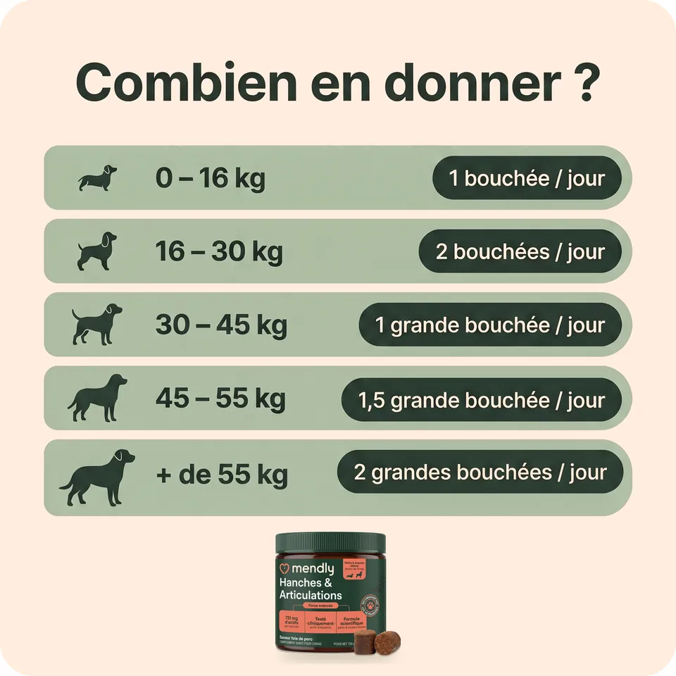 Combien de bouchées donner selon le poids