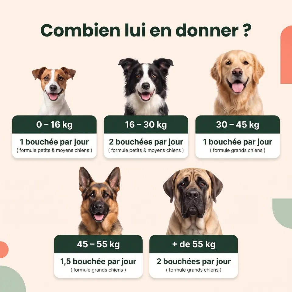 Combien de bouchées donner selon le poids