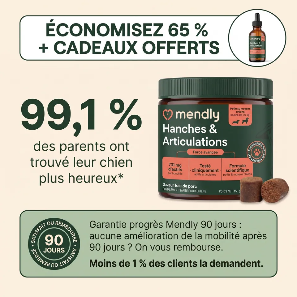 Mendly Hanches & Articulations : économisez 65 % et recevez l’huile Oméga-3 offerte