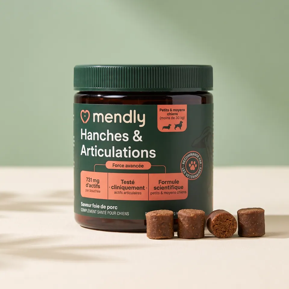 Le pot Mendly Hanches & Articulations et ses bouchées